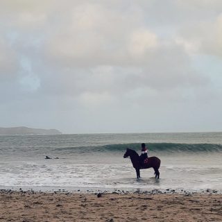 Love seeing horses at the beach. Doesn't happen often. Horses and surfers waiting for the same wave - unheard of 😆

#stackpolecamp 
#freshwatereast
#beachride
#waveriders
#waitingforthewave 
#wintersurf 
#horsesinthesea
#horsesofinstagram